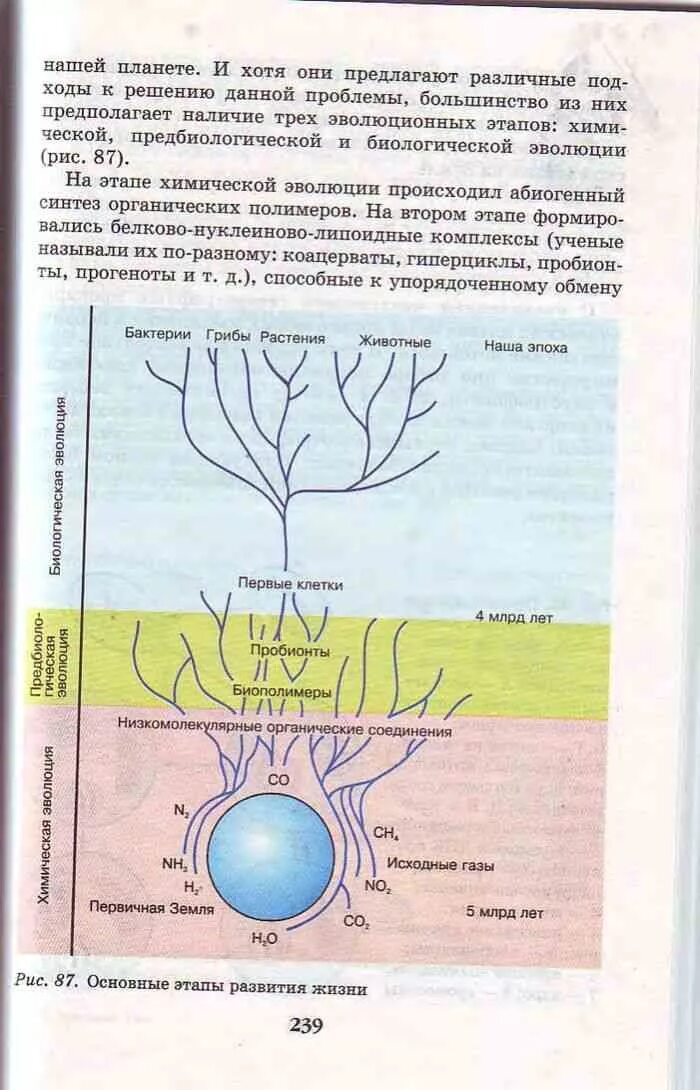 Биология 9 класс учебник Пасечник Швецов. Биология 9 класс Пасечник рис 9. Основные этапы развития жизни рис 101. Учебник по биологии стадии развития. Уроки биологии 9 класс пасечник