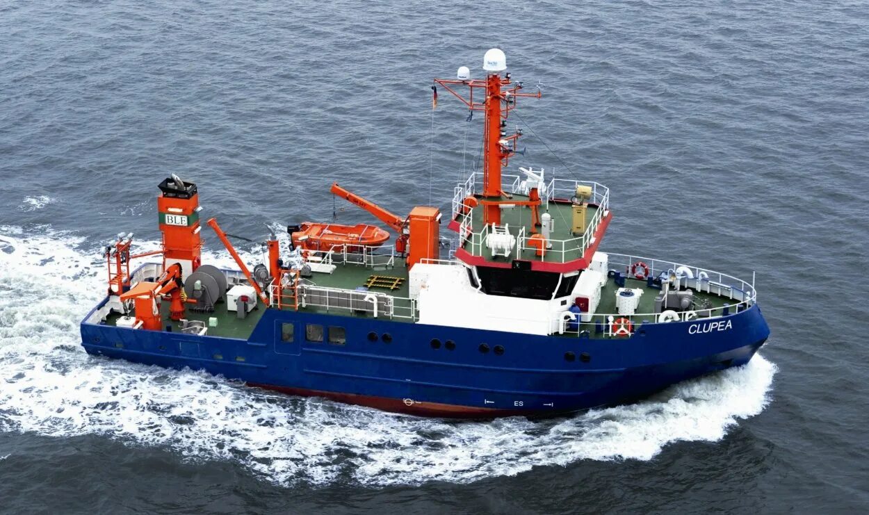 Cargo vessel судно. Судно изготовитель. Vessel type hsc. Specialized semi-submersible heavy transport vessel sshtv голубой марлин. Навальные в судне.