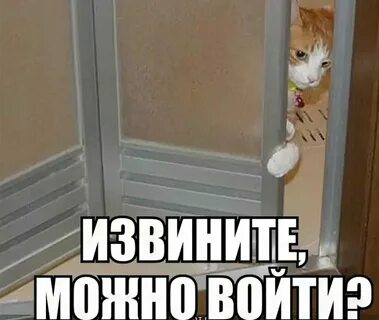 Извините я немного опоздал песня