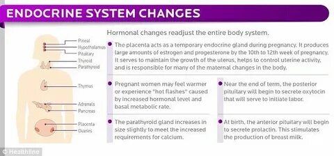 System is during