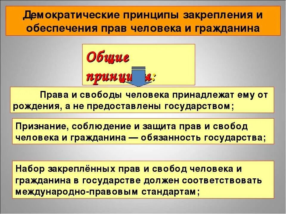 Также вступают. Защита прав и свобод человека. Принципы прав и свобод человека и гражданина. Принципы защиты прав человека. Права и свободы граждан в демократическом.