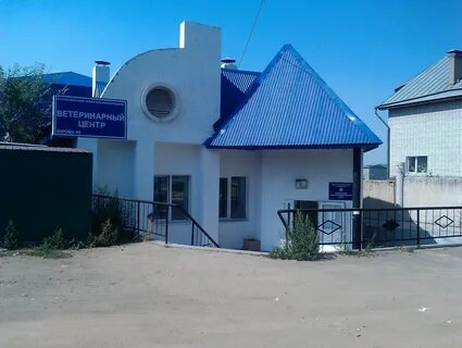 Ветеринарная киров