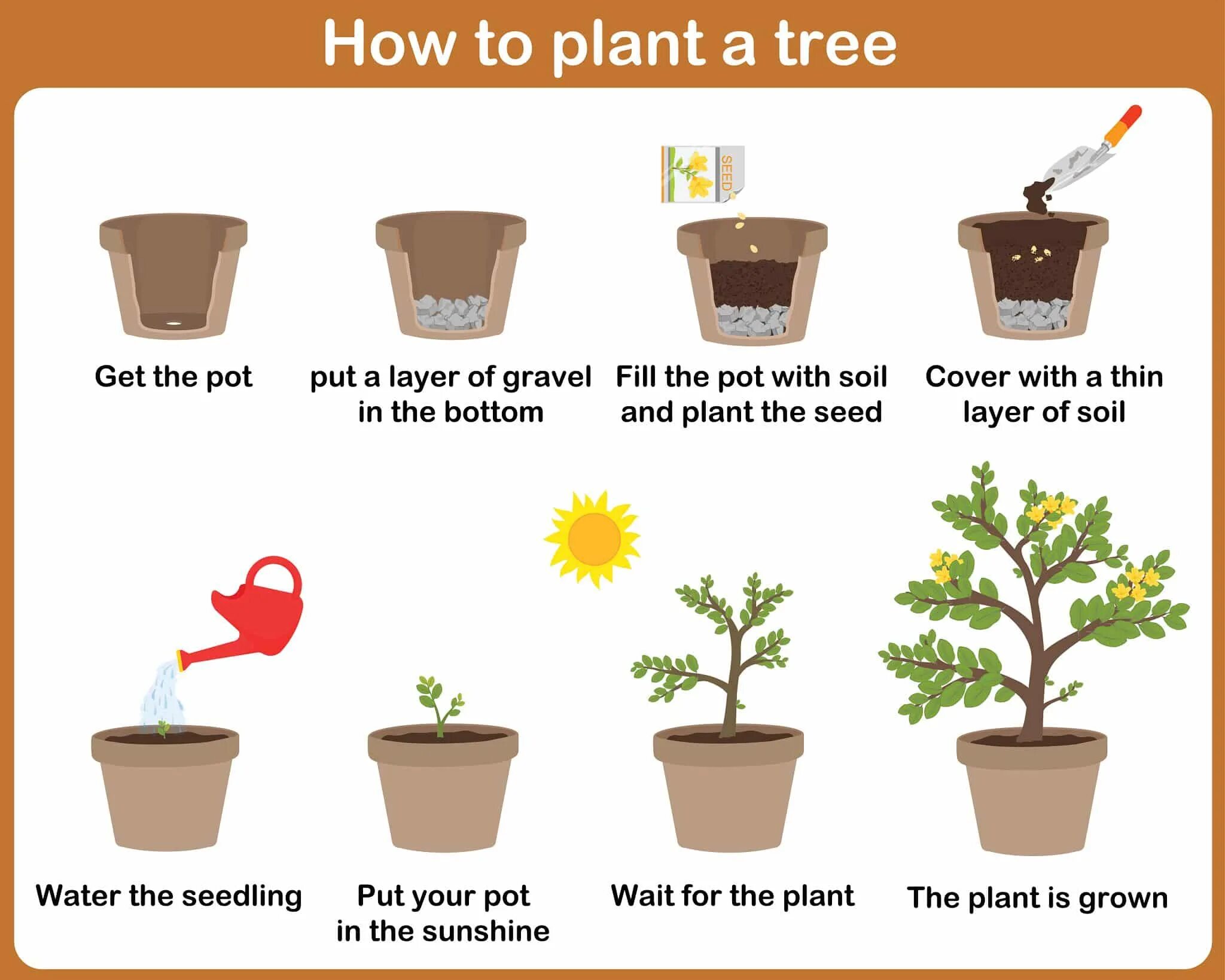 How plant. How to plant seeds for kids. how plants grow for kids. how to grow a plant. plant a seed for kids.