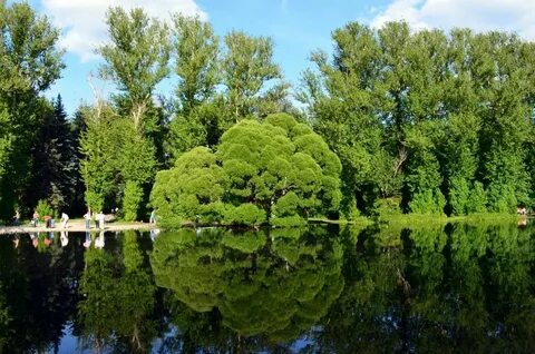 Дендропарк екатеринбург