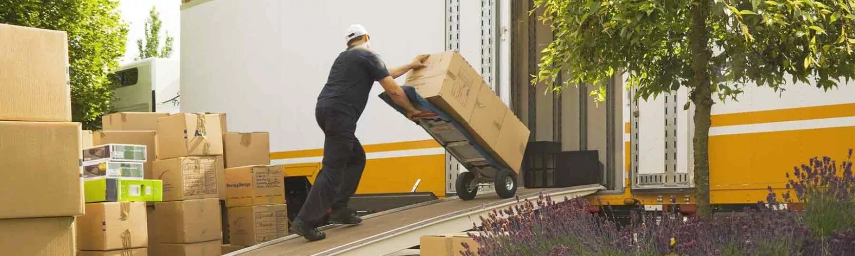 Done loading packages