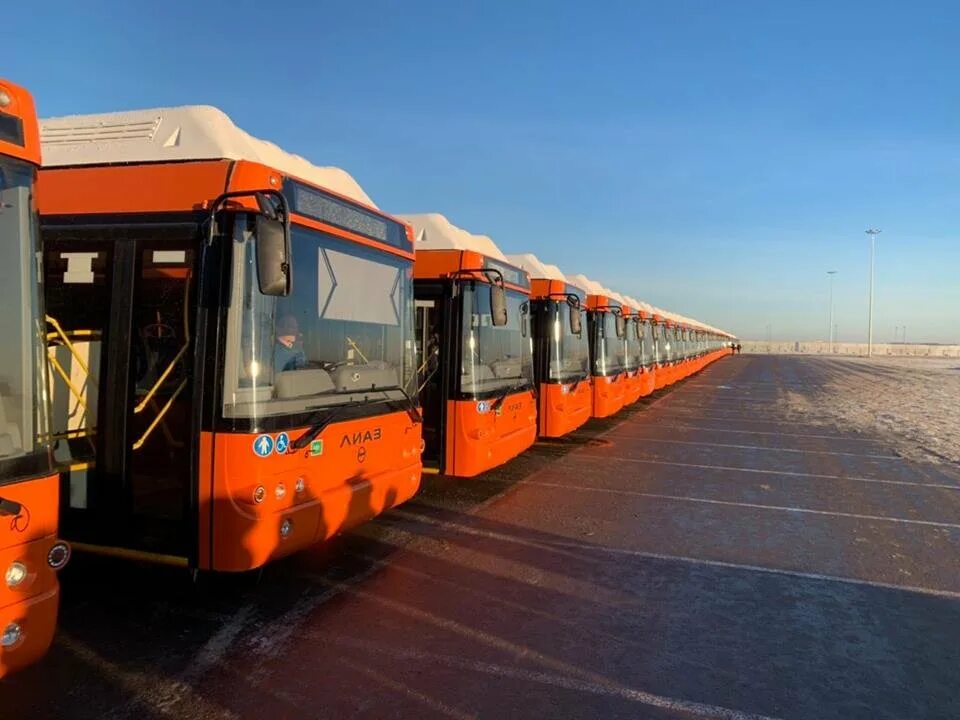 Общественный транспорт нижегородской области. Автобус ЛИАЗ Нижний Новгород. ЛИАЗ Нижний Новгород. Новые автобусы в Нижнем Новгороде. Нижний Новгород транспорт машина.