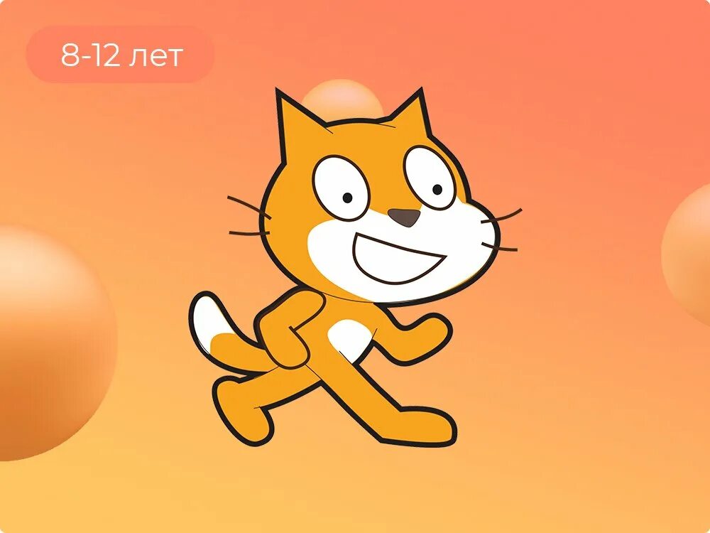 Up scratch cat