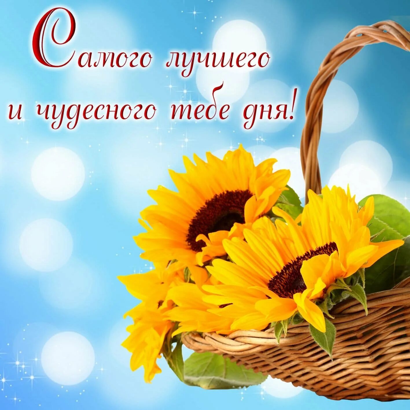 Замечательного дня картинки. Хорошего дня и отличного настроения. Доброго дня и хорошего настроения. Открытки хорошего дня. Доброго дня и хорошего нас.