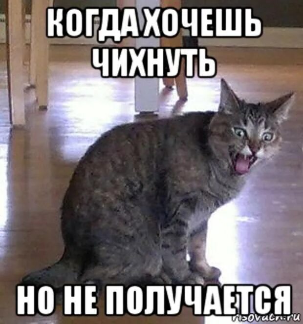 Хочется чихнуть но не получается