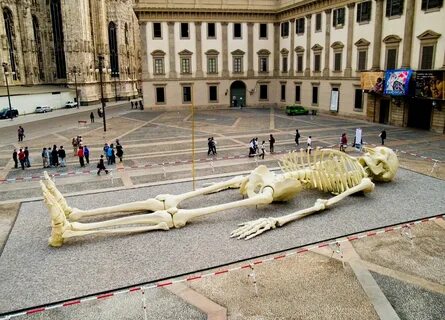 Теория метрового интернета
