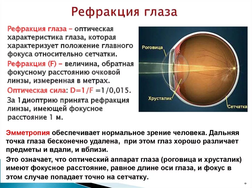 Оптическая система глаза хрусталик. Видами клинической рефракции глаза являются:. Острота зрения. Рефракция. Аккомодация.. Механизм аккомодации глаза. К оптической системе глаза относятся роговица хрусталик