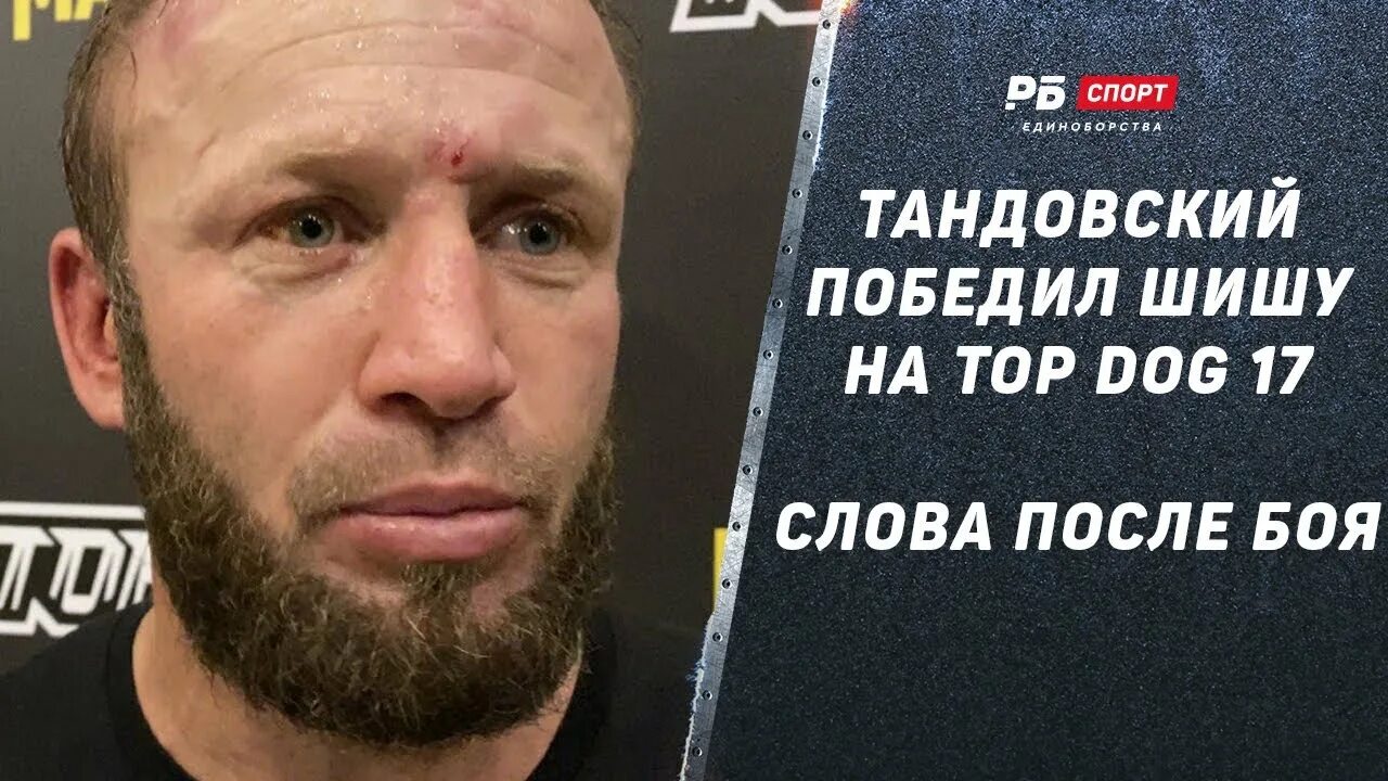 Достойные бойцы топ дог. Шиша тандовский. Шиша боец. Шиша тандовский. Топ дог кард.