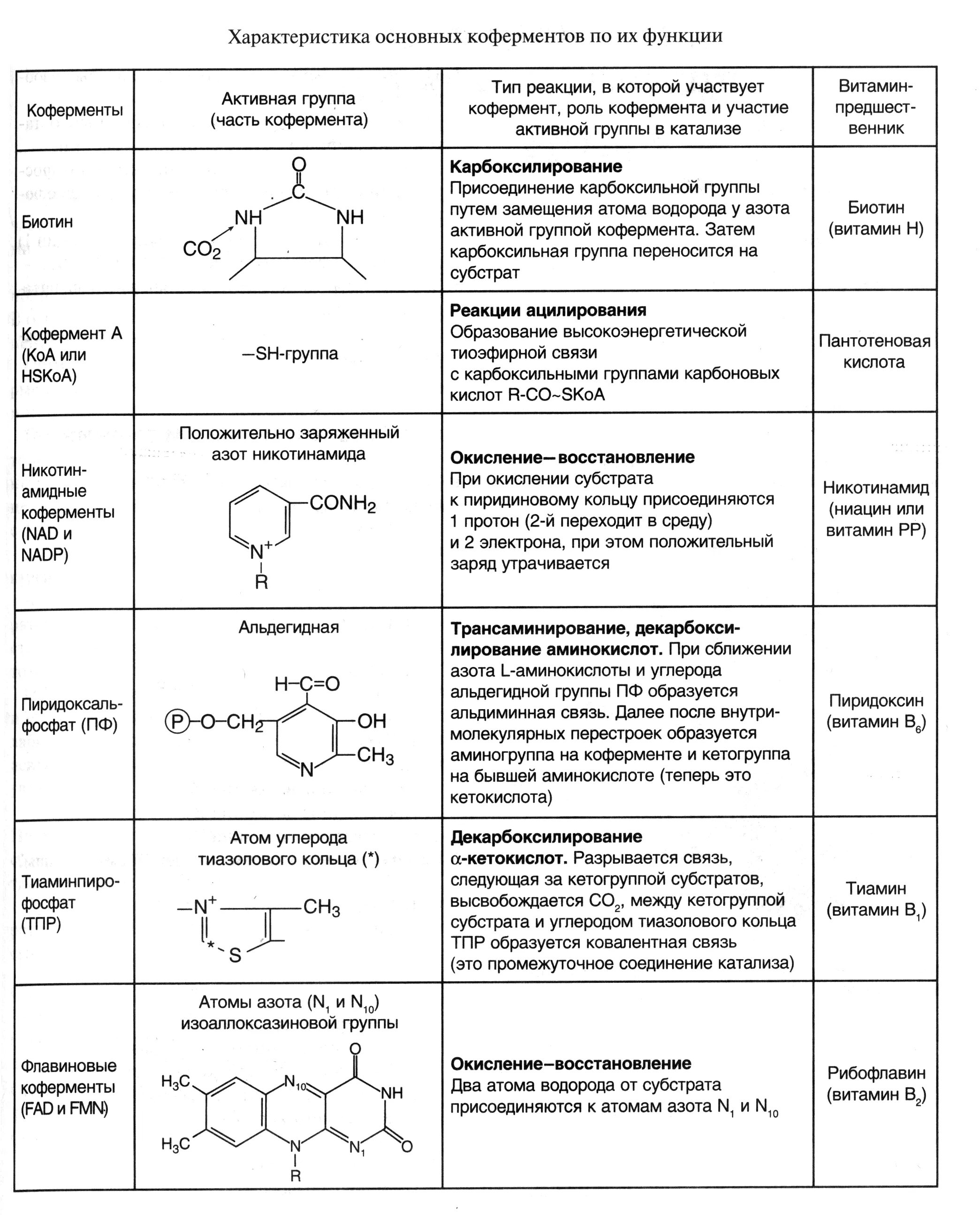 Функции ферментов таблица. Коферменты таблица биохимия. Структура и функция основных коферментов таблица. Характеристика основных коферментов по их функциям по биохимия. Витамины коферменты биохимия таблица.