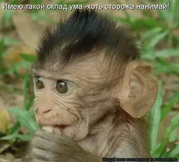 Прикол видео день