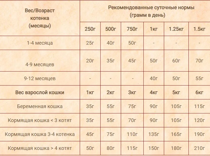 Корм для 4 месячного котенка. Сколько корма давать котенку в 4 месяца. Норма еды для котенка 4 месяца. Норма корма для котенка 3 месяцев. Сколько раз в день нужно кормить котят