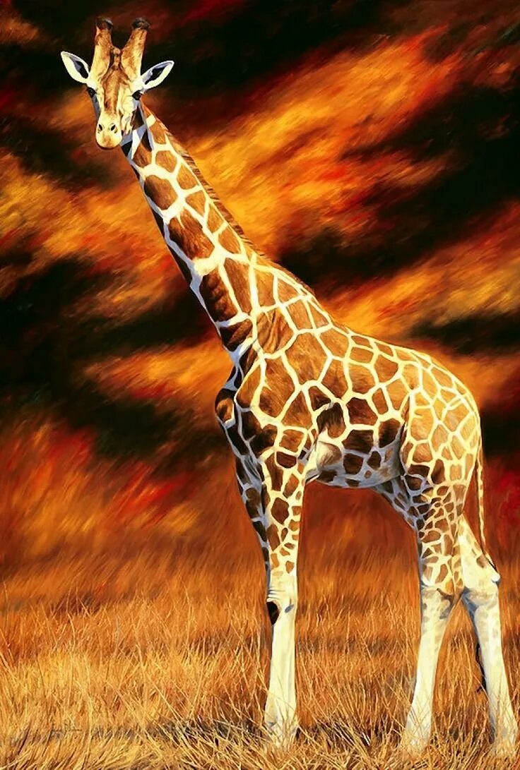 Картина жираф