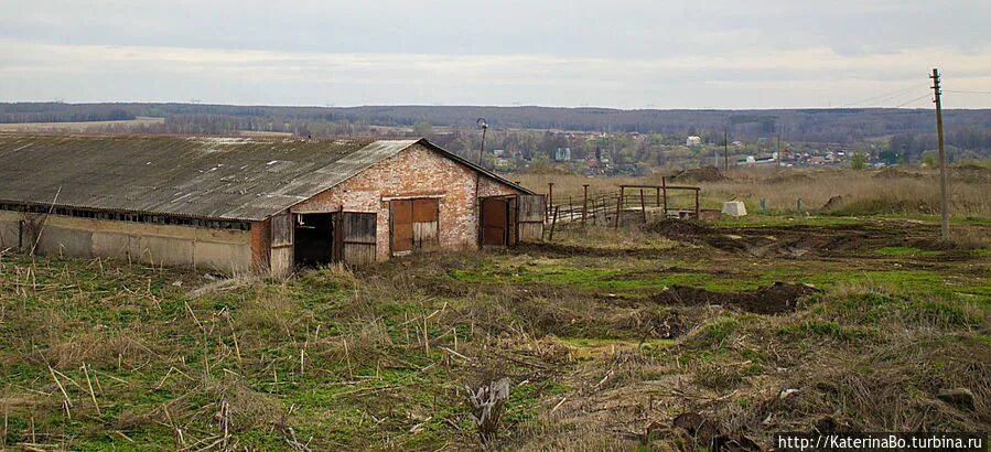 АРХФЕРМА Заокский район. Село Осиновая гора Тульская область. Стояново Тульская область. Покровские Поляны ферма Тульская.