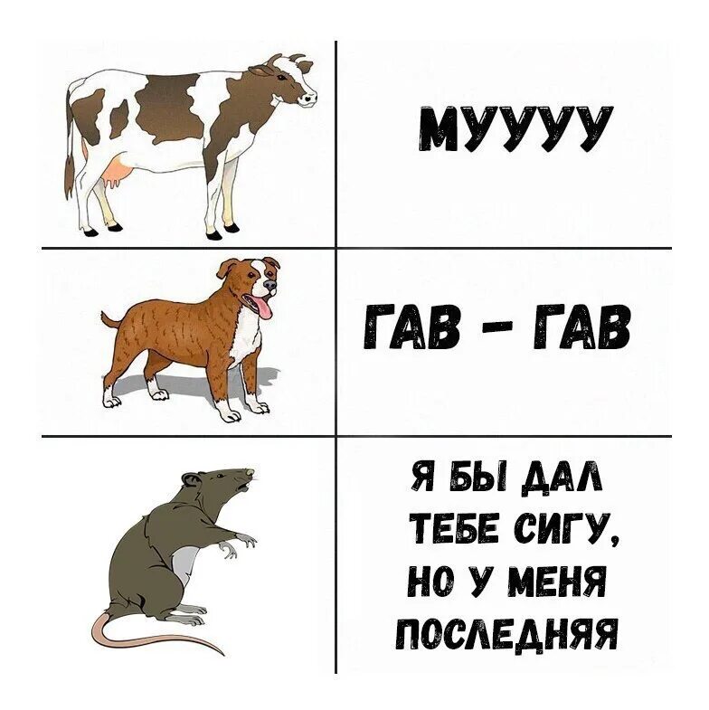 Щенок какие звуки. Собака Гав Гав. Животные звуки. Звуки животных картинки. Корова и собака.