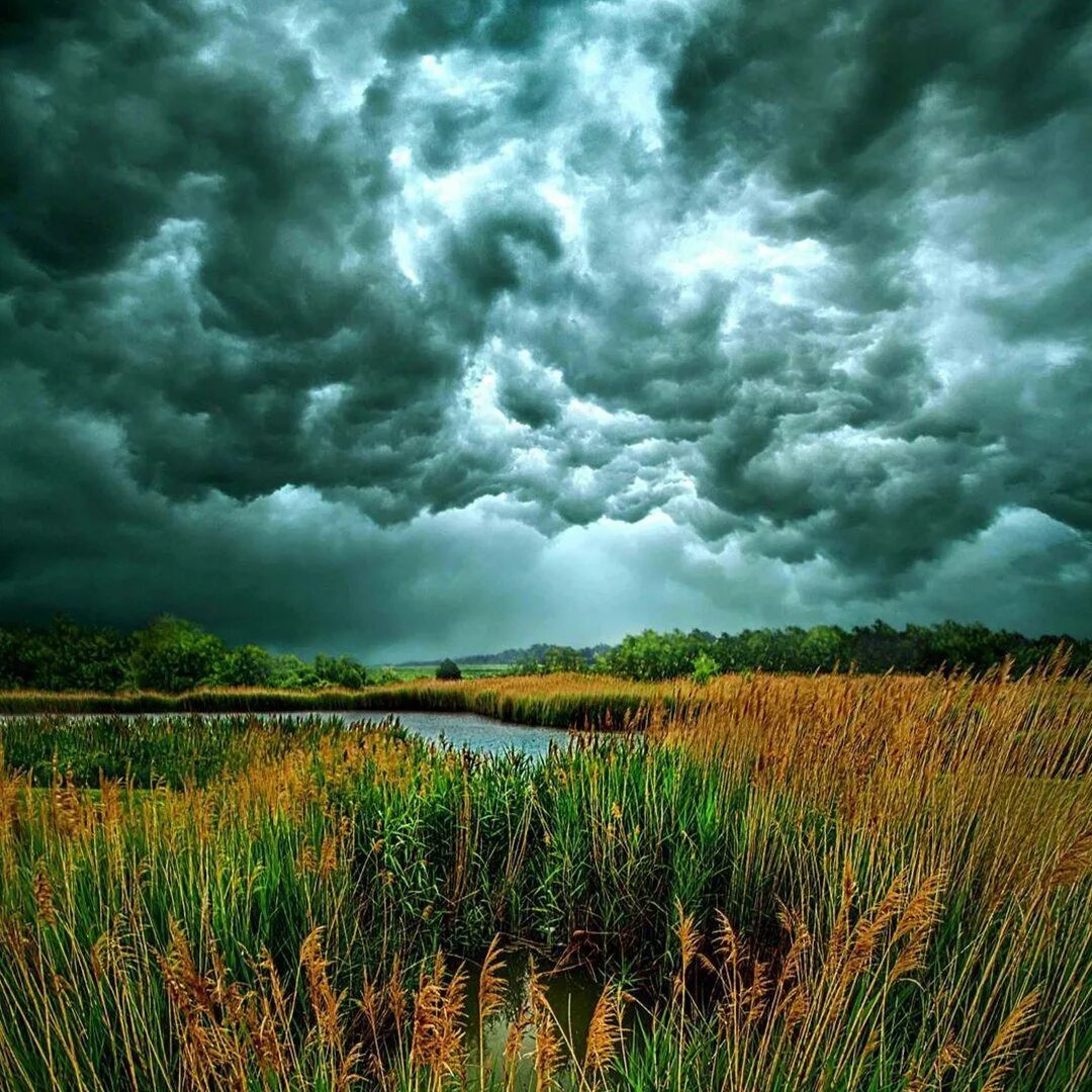 небо тучи. пасмурное небо. "летняя гроза" (темнеет, хмурится небо). грозовые тучи. хмурое небо.