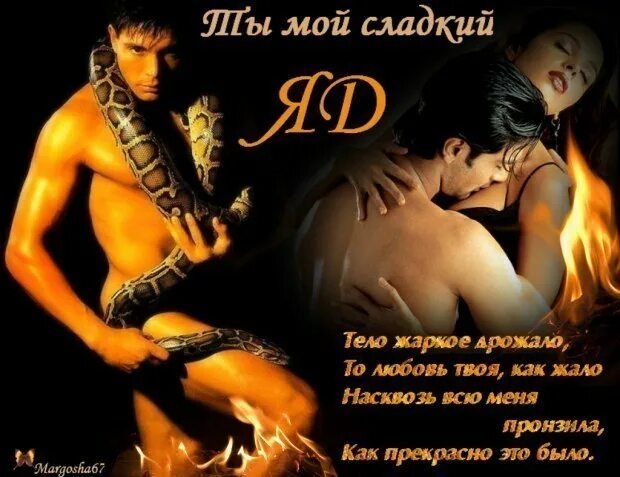 Сладкий яд твоей. Открытка моему сладкому мужчине. сладенький мой картинки с надписью мужчине. ты мой сладкий картинки мужчине. мой сладкий мужчина картинки.