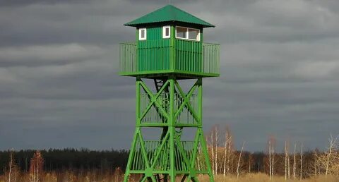 Вишка