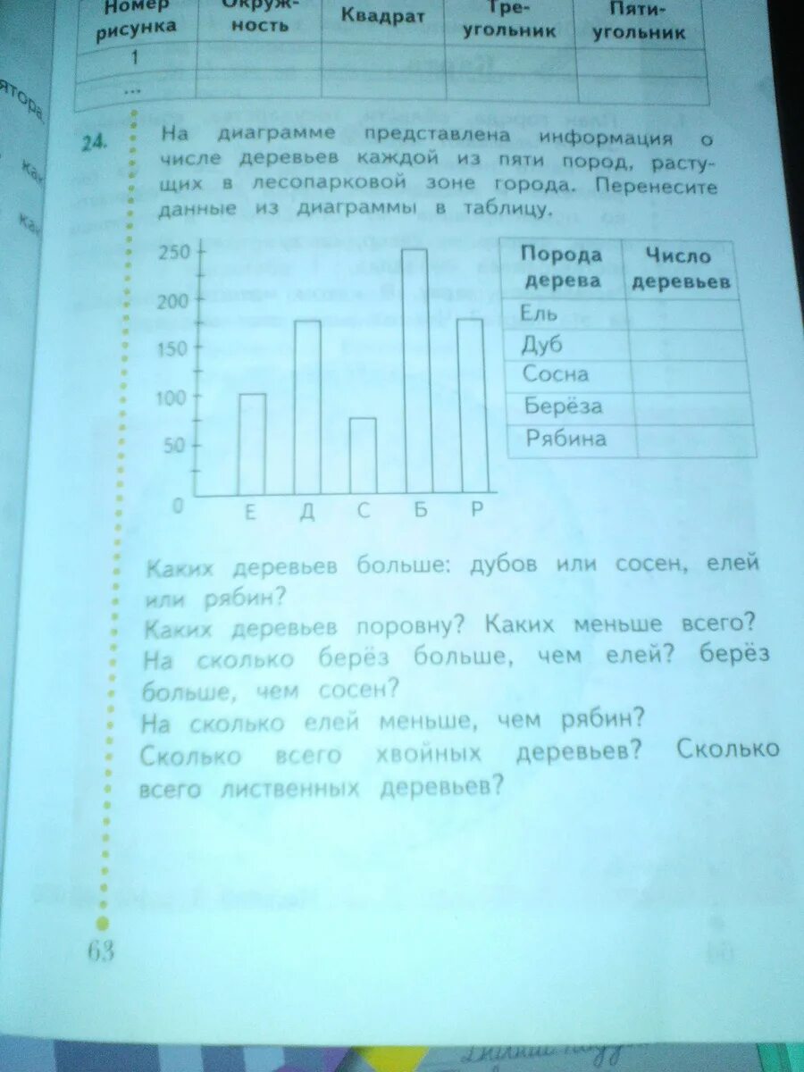 На диаграмме представлена информация о числе деревьев