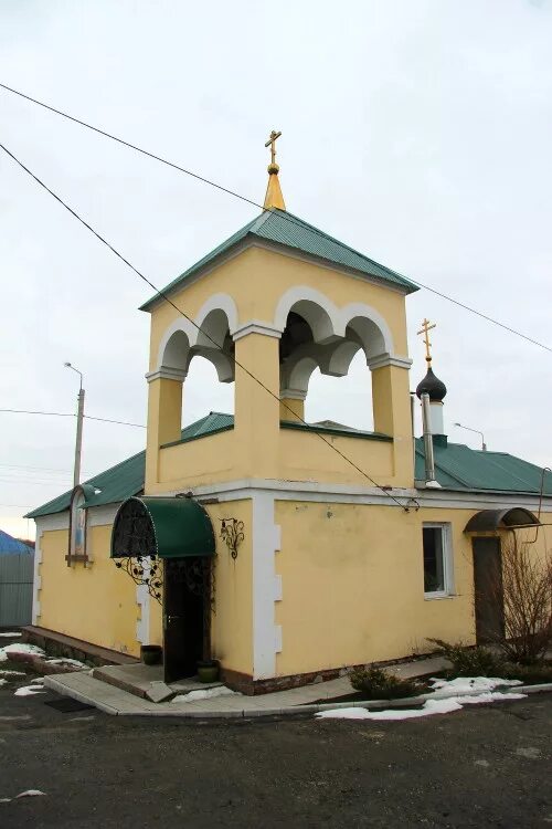 Воронеж большой самовец. Большой самовец воронежская. Большой самовец воронежская. Воронеж большой самовец. Большой самовец воронежская.