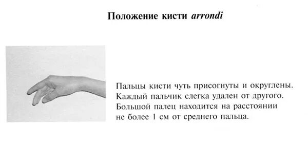 Правильное расположение пальцев рук 10 советов по правильной постановке рук и осанки для пианиста Первый магазин к