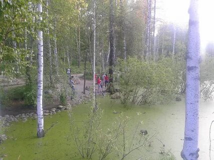 Погода новосибирске академгородок на 10