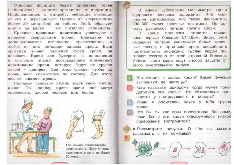 Читать учебник 2