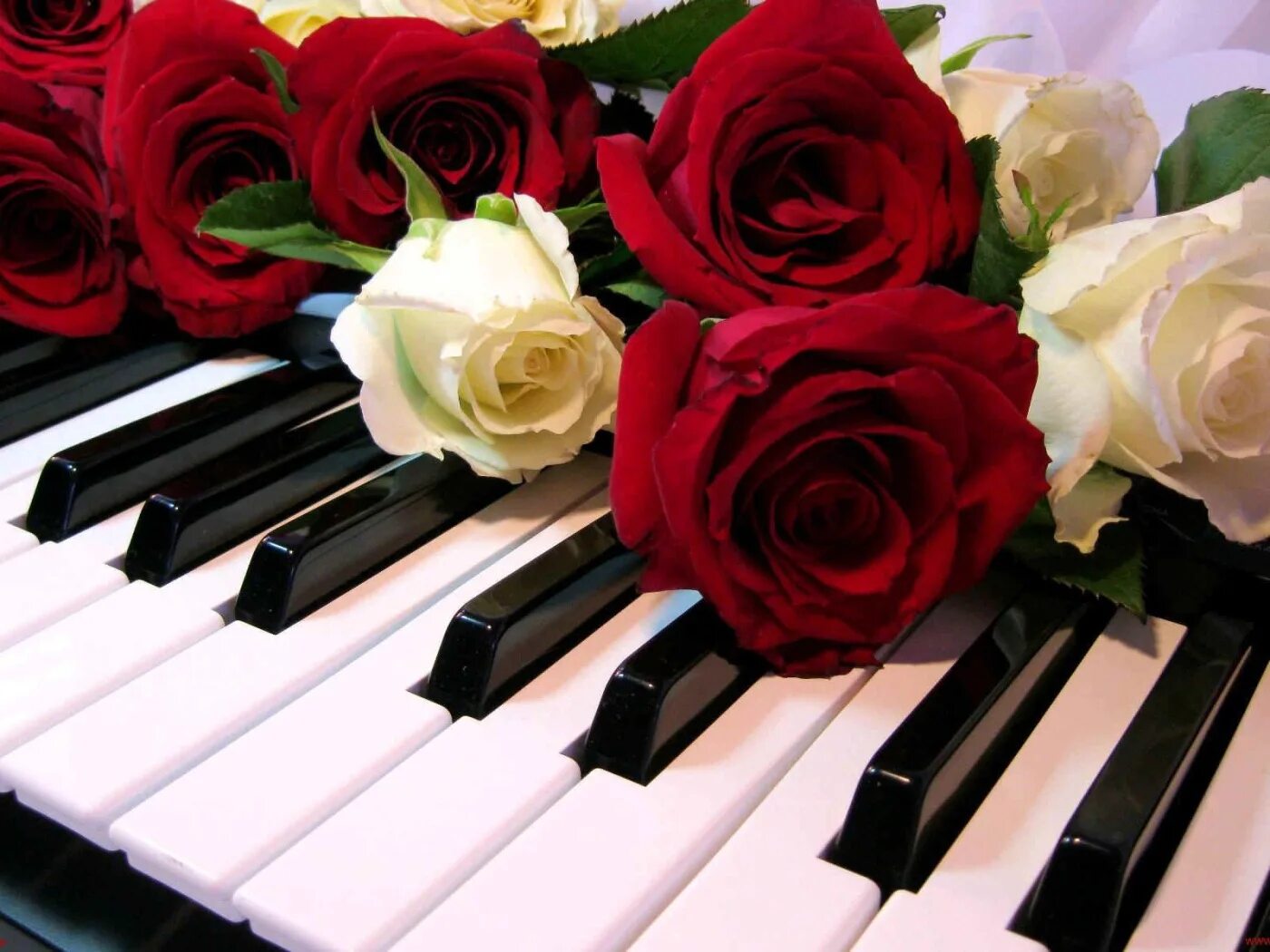 Музыкальный юбилей. Алмазная мозаика gf3790. Рояль цветы. Фортепиано. Розы на рояле.