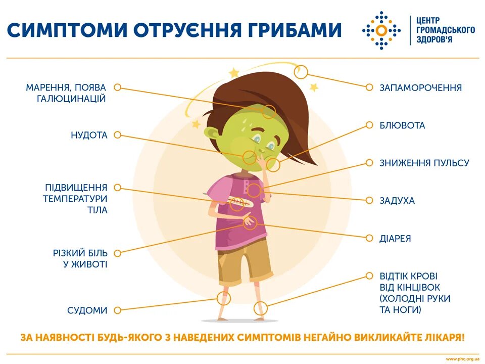 Отравление грибами симптомы через какое время. Отравление грибами инфографика. симптомы. методы профилактики отравления грибами. отравление картинки.