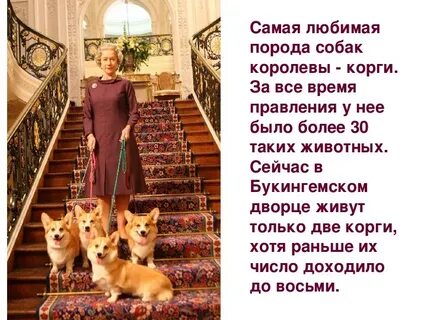 Любимые елизаветы