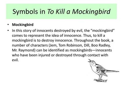 Mockingbird little baby