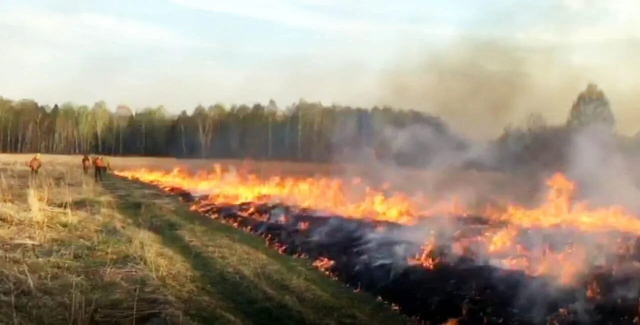 Пожар в д лесная. Лесные пожары в Тюменской области. Лесные пожары Тюменская область 2021 год. Пожары Тюмень 2021. Пожар на природе.