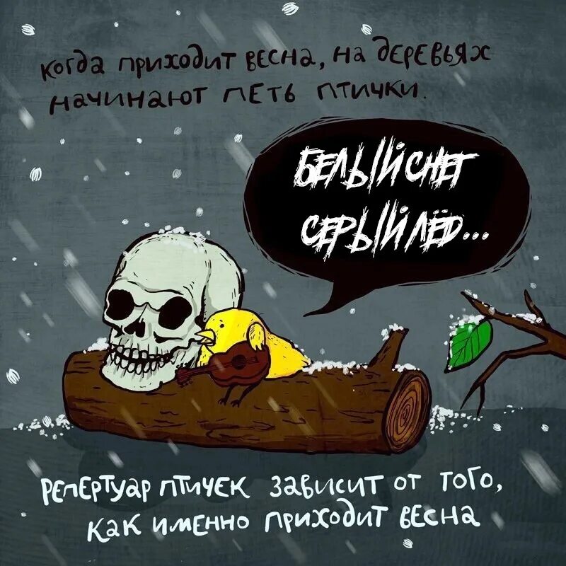 Раньше трава была зеленее. Раньше трава была зеленее. Раньше трава была зеленее. Обезьяна демотиватор. Раньше и трава была зеленее и вода мокрее и девушки.