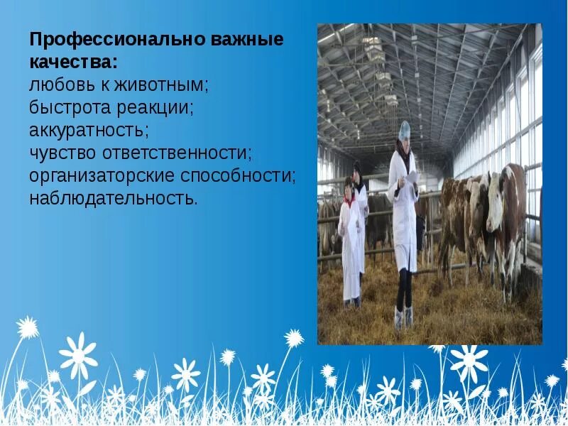 работник фермы. зоотехния специальность. ветеринария в животноводстве. ветеринарный врач крс. зоотехник профессия.