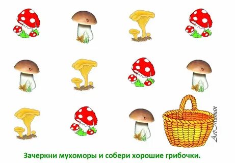 Занятие в детском саду грибы