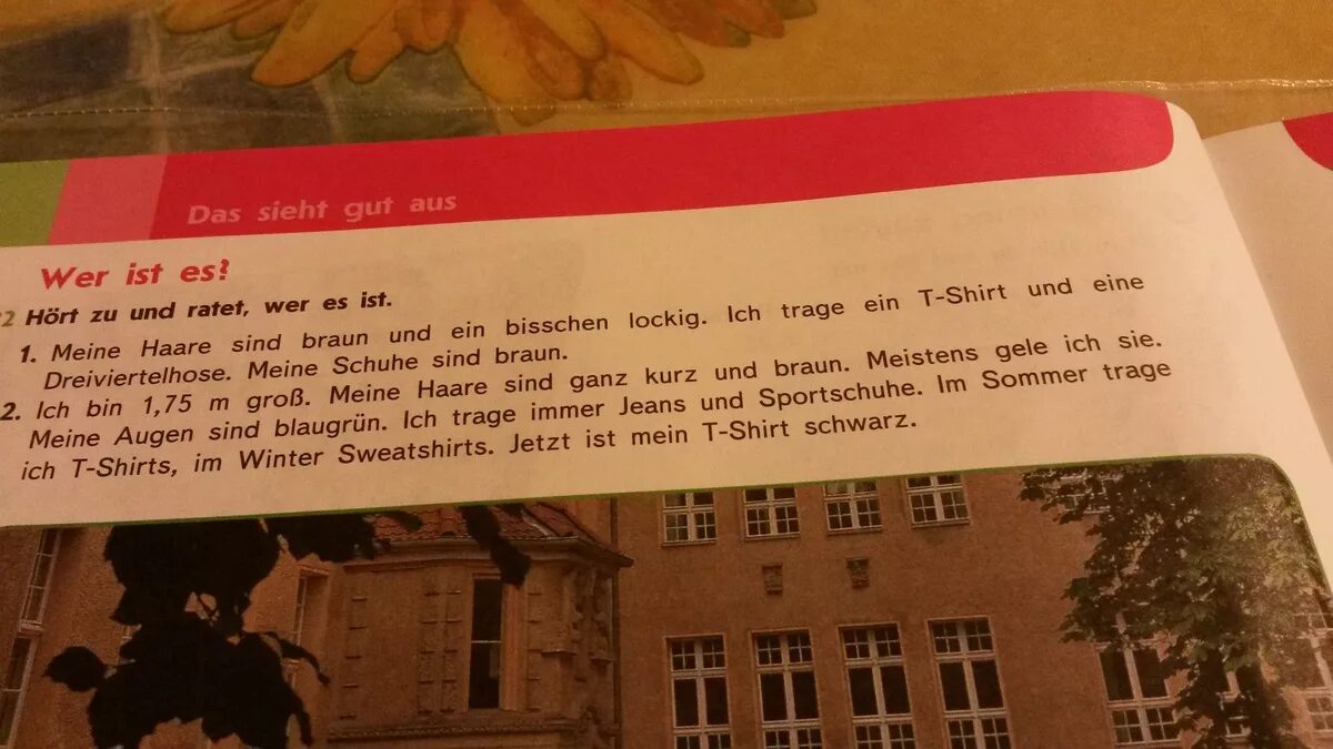 Перевод meine Haare sind Braun und ein bisschen. Das sieht gut aus 6 класс. Das sieht gut aus слова. Das sieht gut aus 6 класс презентация.