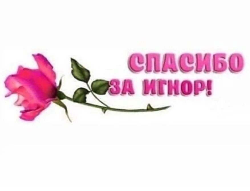 Спасибо надоела. Спасибо за игнор. картинки игнора. спасибо за игнор очень приятно. спасибо за игнор мем.