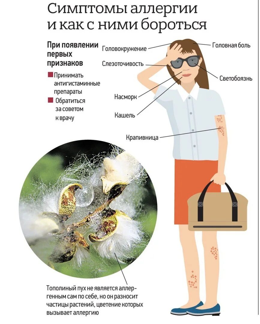 Как проявляется аллергия на цветение. Аллергия на Тополиный пух. Аллергия на Тополиный пух симптомы. Признаки аллергии на пух тополя.