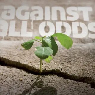 A a r against all