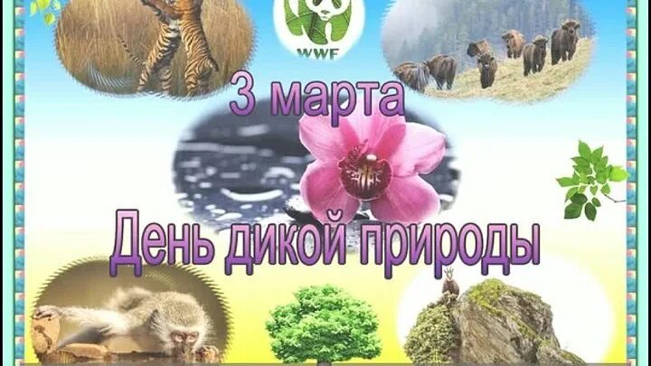 Календарь на скрепке. Календарь 2024 год природа. Календари листовые на 2024 с природой. Праздники природы 2024. Праздники природы 2024.