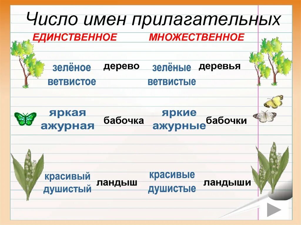 Карточки по русскому языку число имен прилагательных