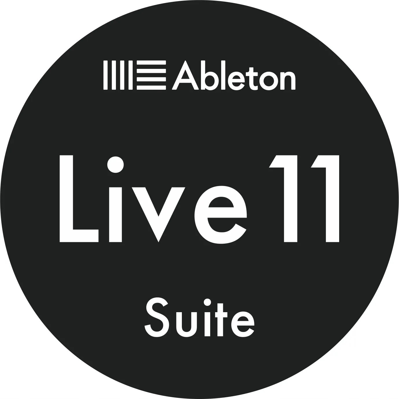 Suite 11