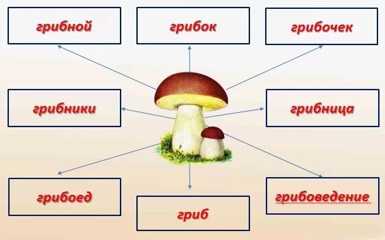 Слово гриб. Проект семья слов по русскому языку 3 класс. Русский язык третий класс проект семья слов. Проект семья слов по русскому языку 3 класс слово гриб. Проект по русскому языку 3 класс семья слов однокоренные слова.