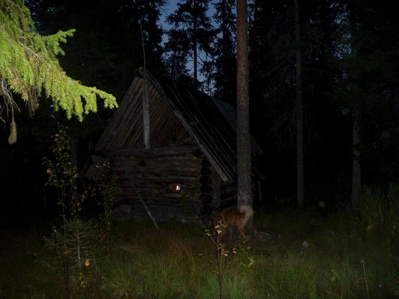 Шишкин лес избушка. Домик лесника парк мещерский. Шел от сторожки. Художник мартюшев юрий вячеславович. Заимка охотника в тайге.