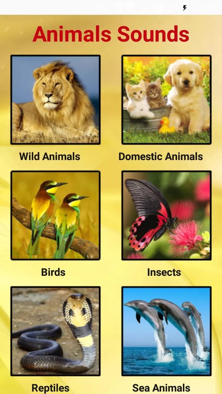 Animals edit. Animals sounds. animals and their sounds. animal sounds in english. animal sounds apk.