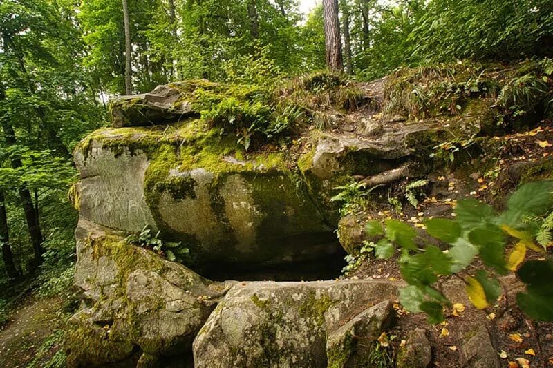 Урочище чертово городище. Чёртово городище (козельск). Чёртово городище (козельск). Чертово городище угра. Чертово городище калужская область.
