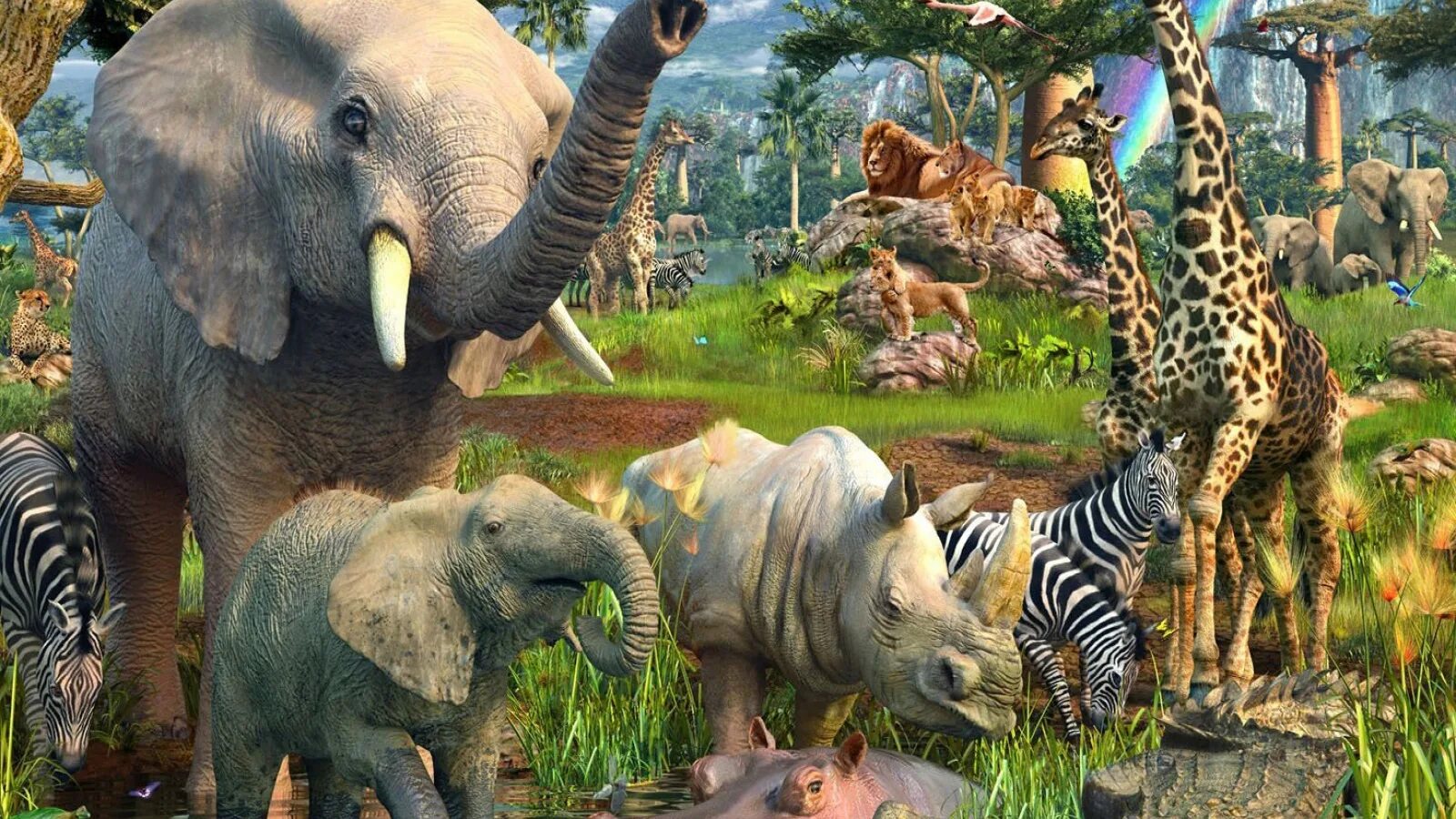 Ф мире животных. Пазлы ravensburger 18000. животные африки для детей. мир зверей. мир животных.